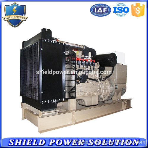 Rated Power Gas Generator Set, 120KVA Biogas Generator Set With CHP System